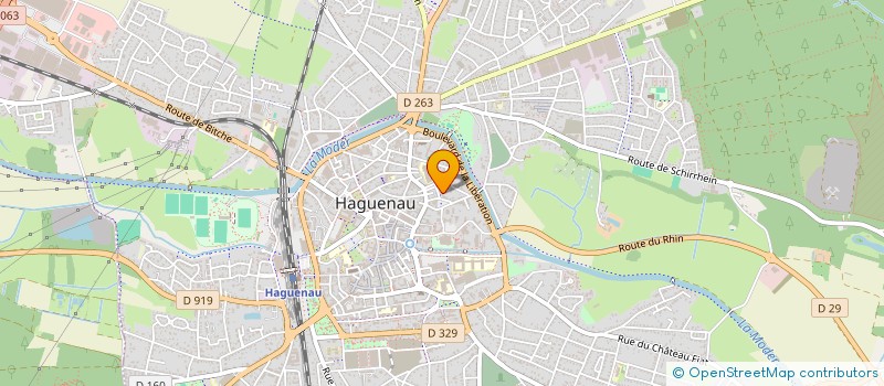 localisation de l'entreprise SELARL DU DOCTEUR MICKAEL SCHMITT  HAGUENAU