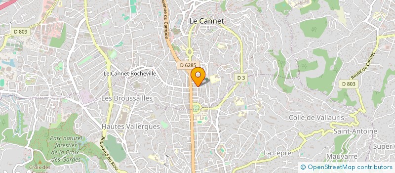 localisation de l'entreprise SELARL DU DOCTEUR NIKOLETA HRISTOVA à LE CANNET
