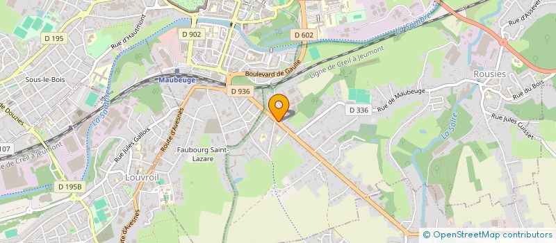 localisation de l'entreprise SELARL DU DOCTEUR VETERINAIRE MICHIELS  ROUSIES