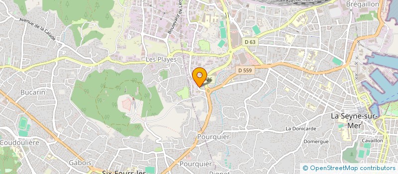 localisation de l'entreprise SELARL DU DR PETIT JACQUES  LA SEYNE-SUR-MER