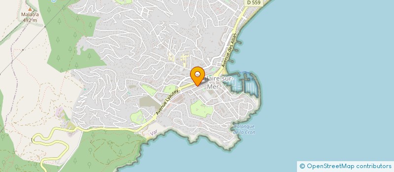 localisation de l'entreprise SELARL GOY LAURENT à CAVALAIRE-SUR-MER