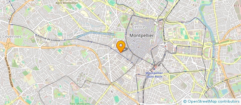 localisation de l'entreprise SELARL LES ABEILLES à MONTPELLIER
