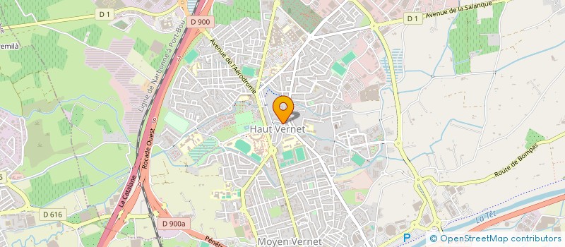 localisation de l'entreprise SELARL MEJDALI-LAFONT à PERPIGNAN