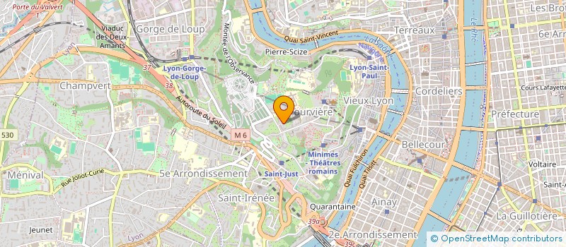 localisation de l'entreprise SELARL NADEGE THIEULENT  LYON