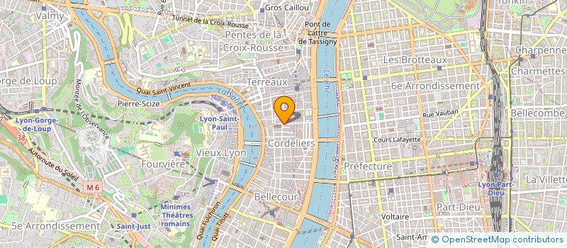 localisation de l'entreprise SELARL NATHALIE CHARNAY AVOCAT  LYON