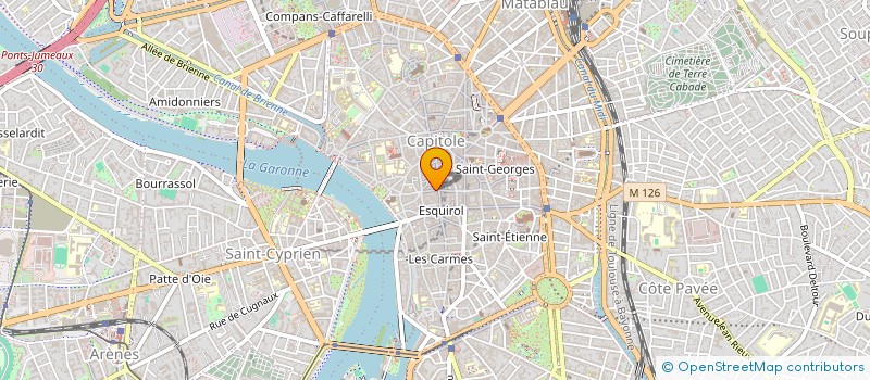 localisation de l'entreprise SELARL SYLVAIN LASPALLES  TOULOUSE