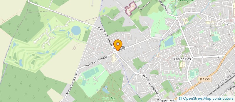 localisation de l'entreprise SELARL VETERINAIRE D'IGNES à PESSAC