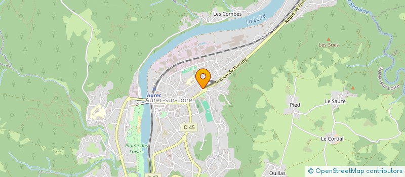 localisation de l'entreprise SELARL VETERINAIRE DES 2 RIVES à AUREC-SUR-LOIRE