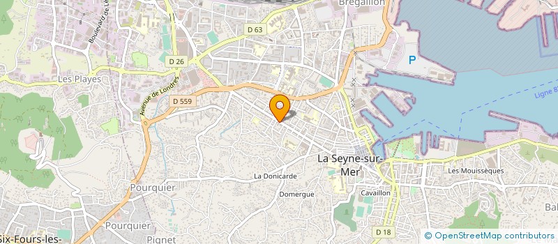 localisation de l'entreprise SELARL VETERINAIRES STALINGRAD à LA SEYNE-SUR-MER