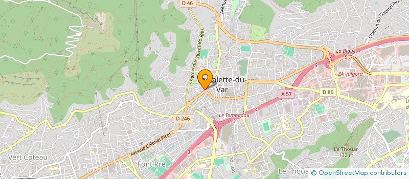 localisation de l'entreprise SELARLU BADEA  NICE