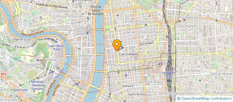 localisation de l'entreprise SELAS DR MAURICIO PINTO  LYON