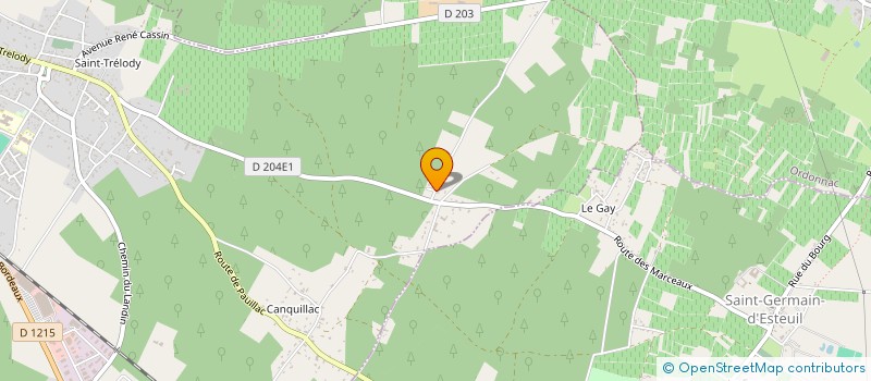localisation de l'entreprise SELAS GYNE MON RDV à LESPARRE-MEDOC