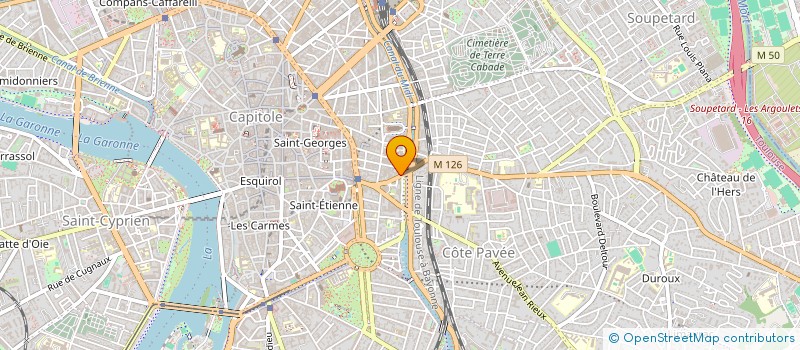 localisation de l'entreprise SELAS MYRIAM GUEDJ BENAYOUN  TOULOUSE