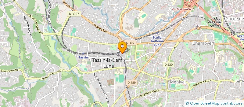 localisation de l'entreprise SELENE FPI à TASSIN-LA-DEMI-LUNE