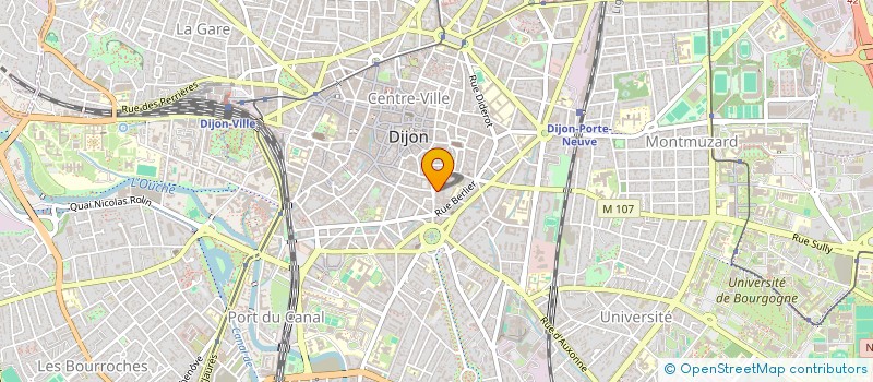 localisation de l'entreprise SELENOR  DIJON