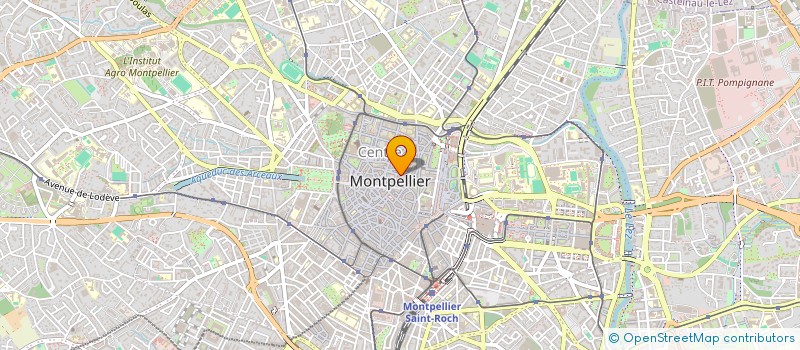 localisation de l'entreprise SELF à MONTPELLIER
