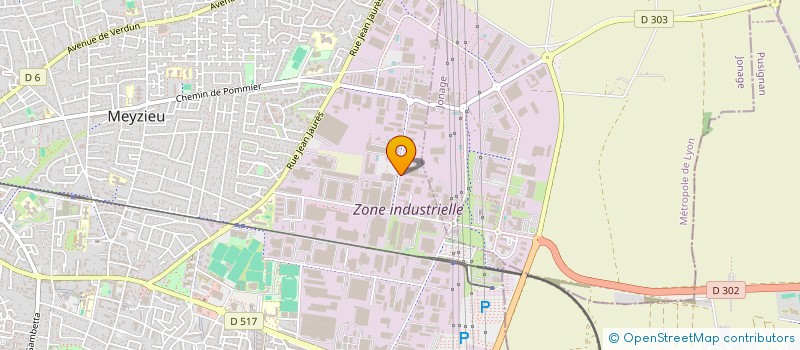 localisation de l'entreprise SELF  MEYZIEU