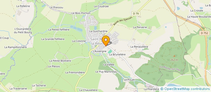 localisation de l'entreprise SELF GARAGE  SAINT-MARS-LA-REORTHE