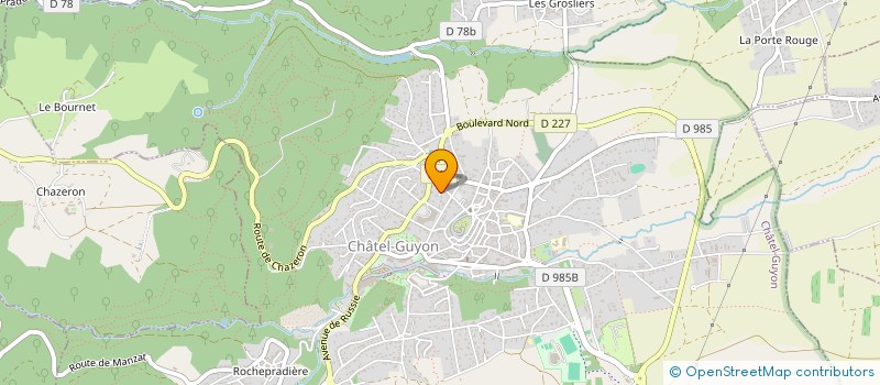 localisation de l'entreprise SELFFLUX  CHATEL-GUYON