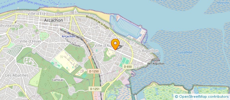 localisation de l'entreprise SELIKA IMMOBILIER  ARCACHON