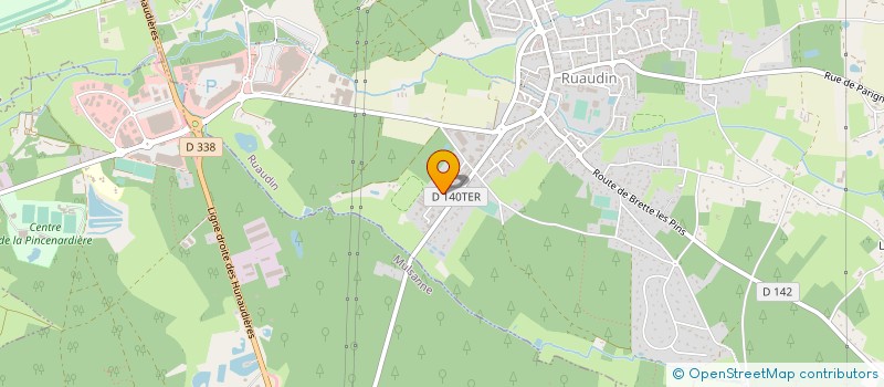 localisation de l'entreprise SELLERIE DEBRAISE à RUAUDIN