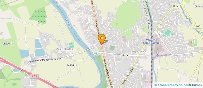 localisation de l'entreprise SELLERIE DES VERNEDES  VEAUCHE