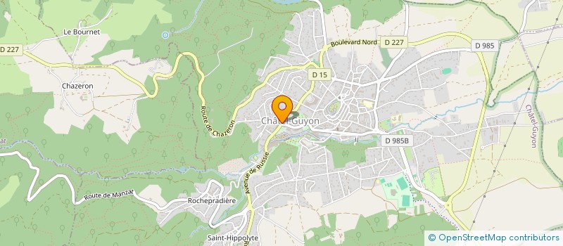 localisation de l'entreprise SELLIER DRIVING COMPETITION à CHATEL-GUYON