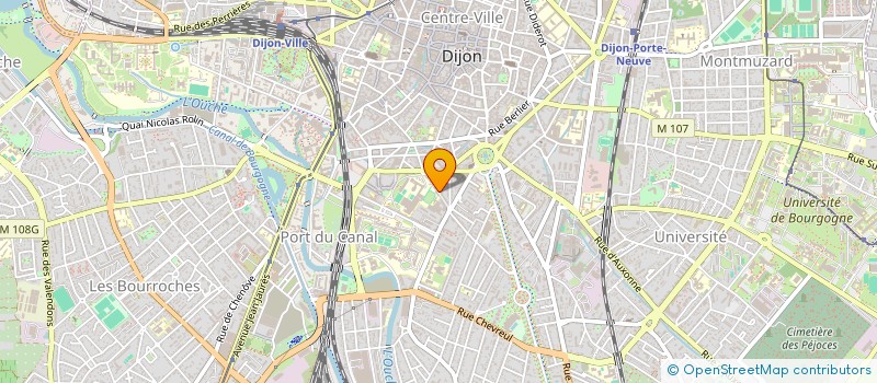 localisation de l'entreprise SELMA & SALEM  DIJON