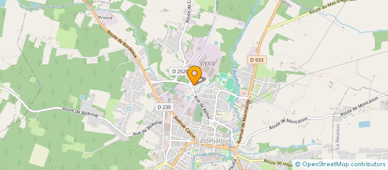 localisation de l'entreprise SELONA  CASTELJALOUX