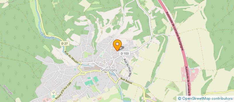 localisation de l'entreprise SELONGEY HANDBALL  SELONGEY