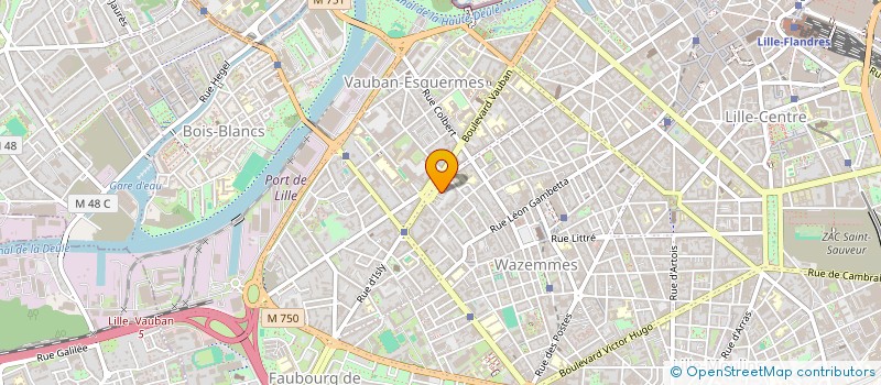 localisation de l'entreprise SELURL ROSA FLEURY-LE VESCO à LILLE