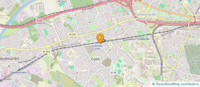 localisation de l'entreprise SELYA  LOOS