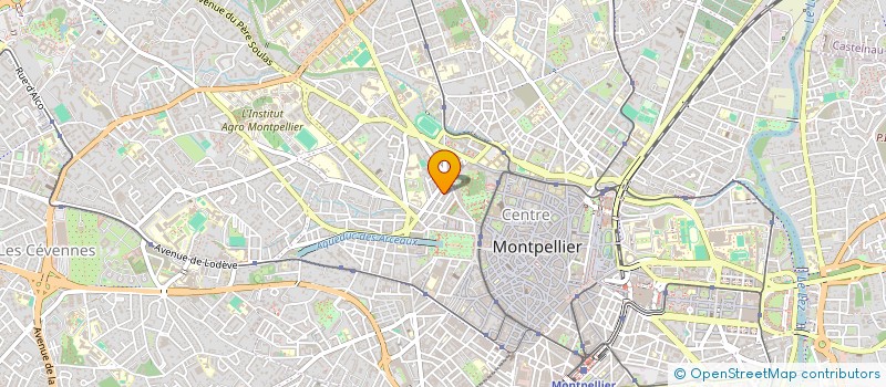 localisation de l'entreprise SENTIDO FLAMENCO à MONTPELLIER