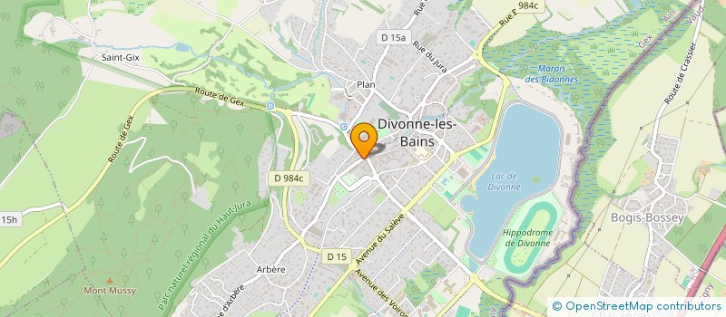 localisation de l'entreprise SENTRY SECURITE PRIVEE  DIVONNE-LES-BAINS