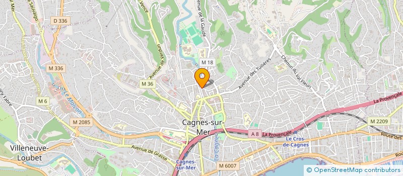 localisation de l'entreprise SENY TRANSPORTS EXPRESS à CAGNES-SUR-MER