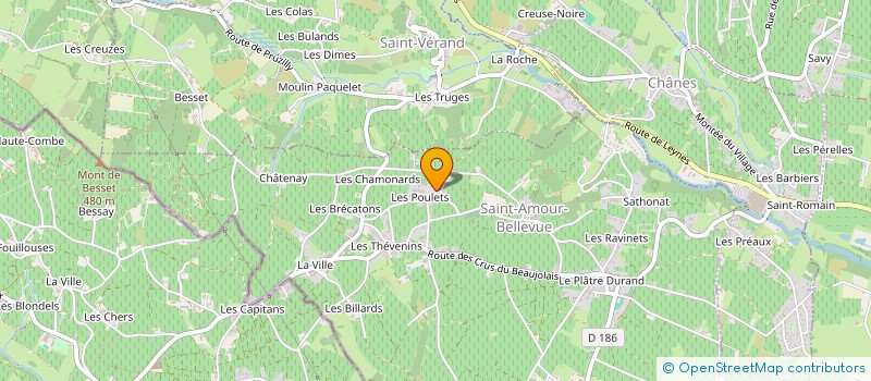 localisation de l'entreprise SERMATEX à SAINT-AMOUR-BELLEVUE