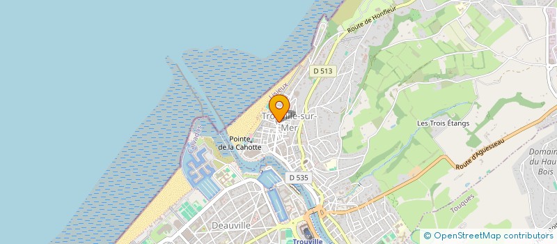 localisation de l'entreprise SERRURERIE BOINNE à TROUVILLE-SUR-MER