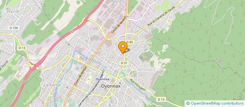 localisation de l'entreprise SERVICE APRES VENTE OYONNAXIEN à ARBENT