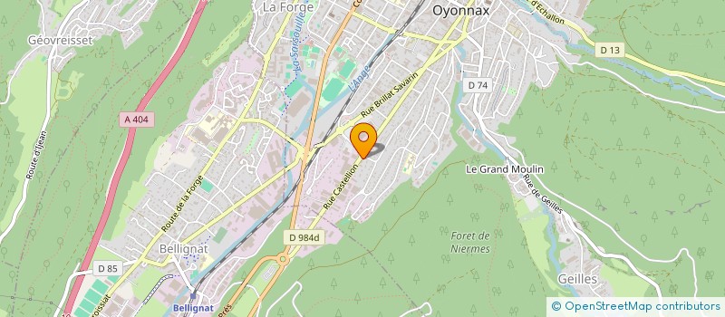 localisation de l'entreprise SERVICE AUTO BAS à OYONNAX
