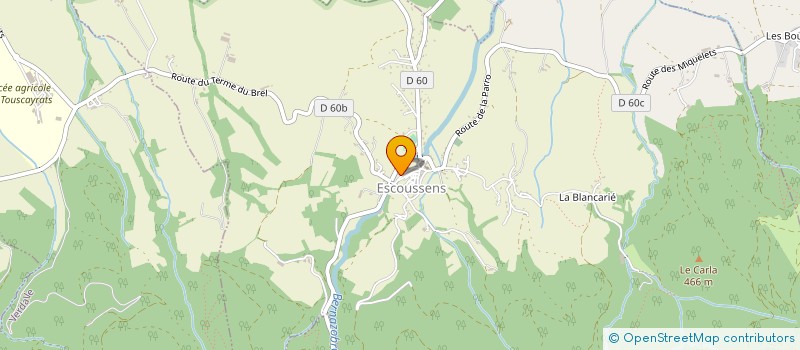 localisation de l'entreprise SERVICE GLOBAL ET SECURITE INCENDIE à ESCOUSSENS