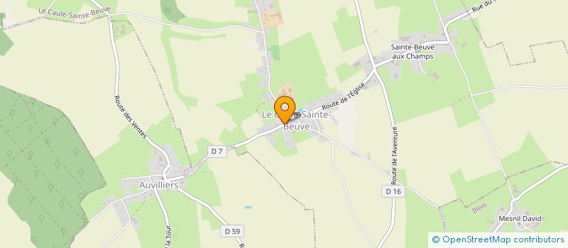 localisation de l'entreprise SERVICE POUR TOUS  LE CAULE-SAINTE-BEUVE