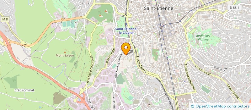 localisation de l'entreprise SERVICE PSYCHO PEDAGOGIQUE à SAINT-ETIENNE