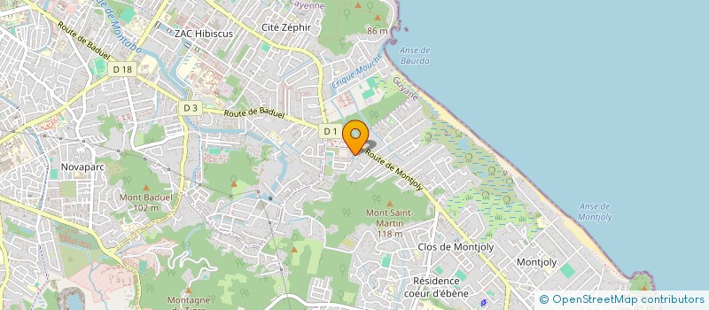 localisation de l'entreprise SERVICE REALISATION GUYANE  REMIRE-MONTJOLY