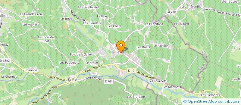 localisation de l'entreprise SERVICE VIGNE  JULIENAS