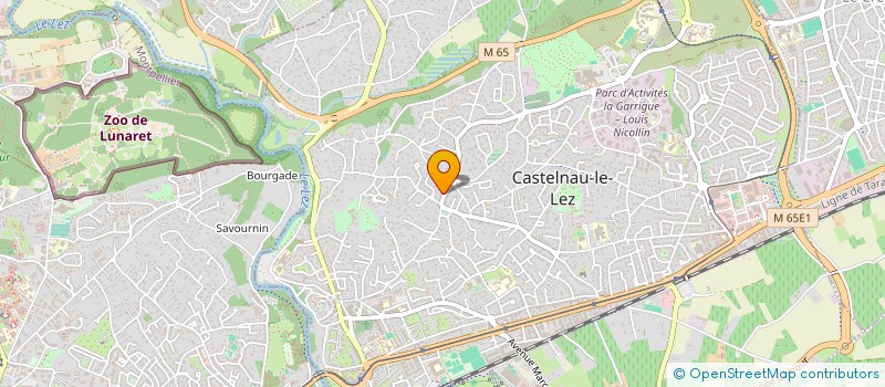 localisation de l'entreprise SERVICES AMENAGEMENTS MAINTENANCES à CASTELNAU-LE-LEZ