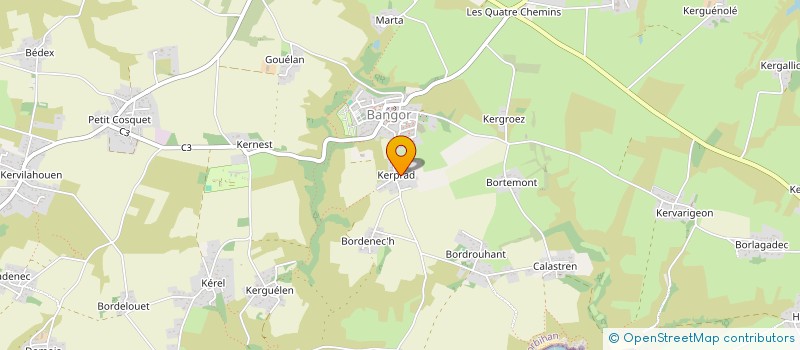 localisation de l'entreprise SERVICES ARBRES & PAYSAGES  BANGOR