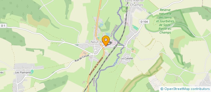 localisation de l'entreprise SERVICES AUXILIAIRES VARIES  NEUF-MARCHE