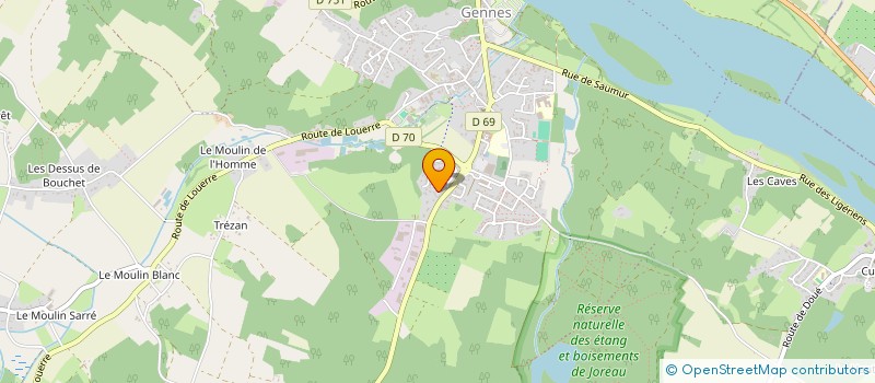 localisation de l'entreprise SERVICES DE CONVOYAGE ANGEVINS ET NATIONAUX  SAINT-CLEMENT-DES-LEVEES