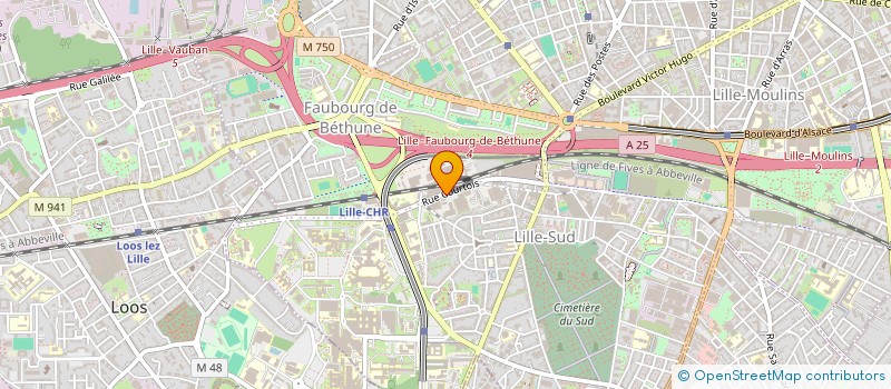 localisation de l'entreprise SERVICES LIVRAISONS DOMICILE à LILLE