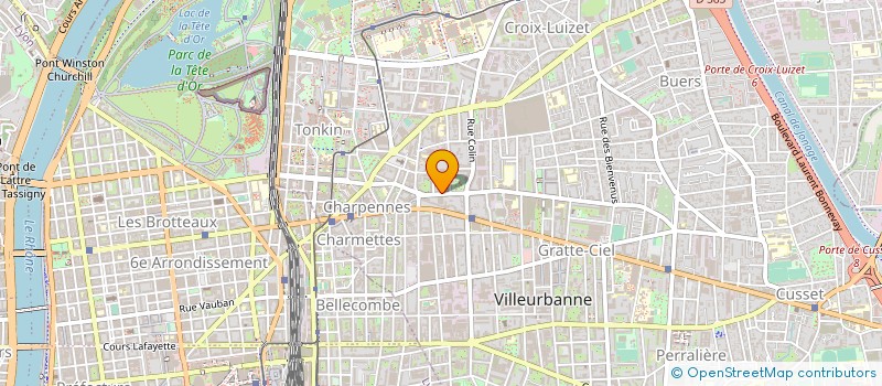 localisation de l'entreprise SERVICES MAINTENANCE SECURITE à VILLEURBANNE